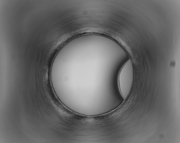 X0000091510253200708170955