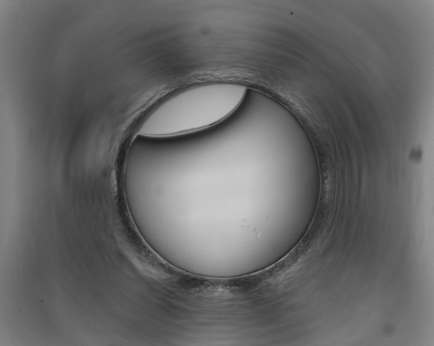 X0000091510254200708170955