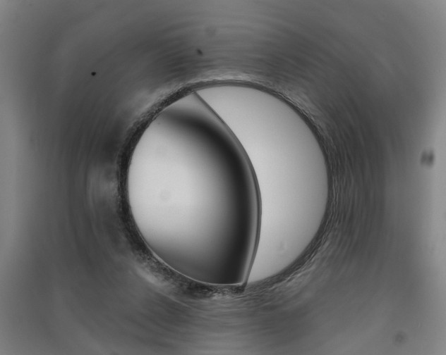 X0000091510256200708170955