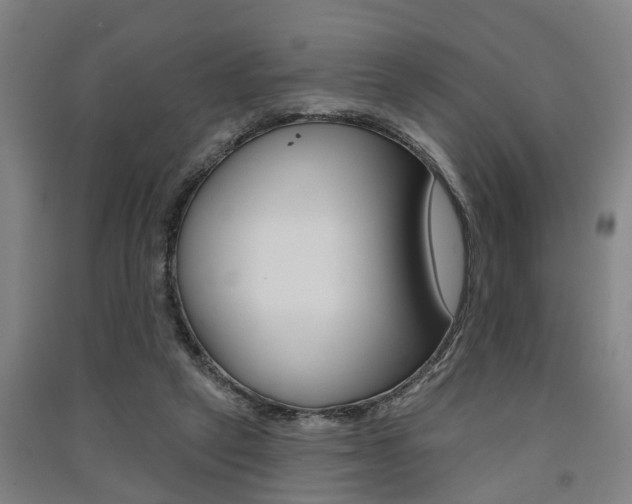 X0000091510257200708170955
