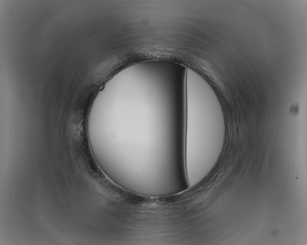 X0000091510259200708170955