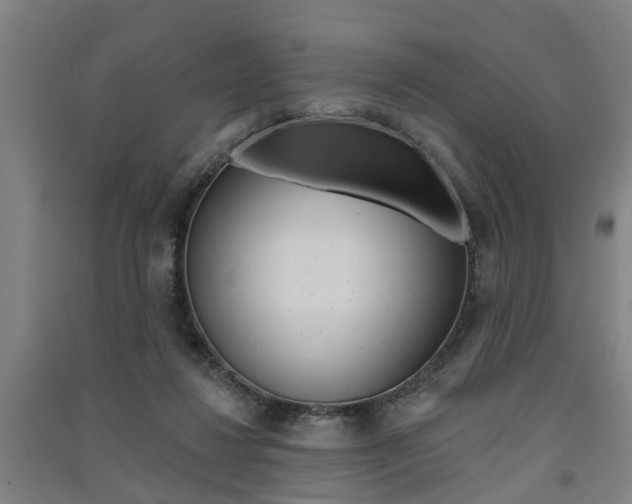 X0000091510260200708170955