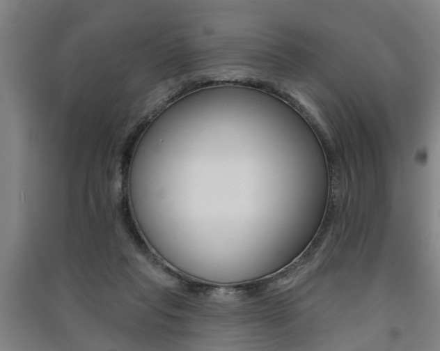 X0000091510261200708170955