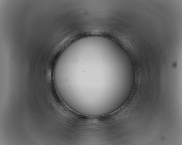 X0000091510262200708170955