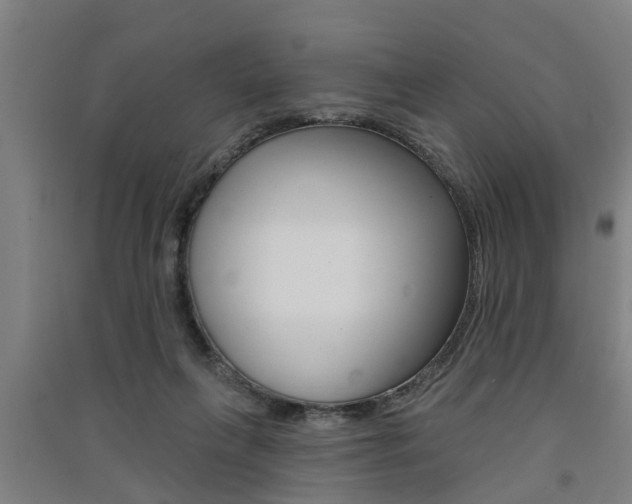 X0000091510263200708170955