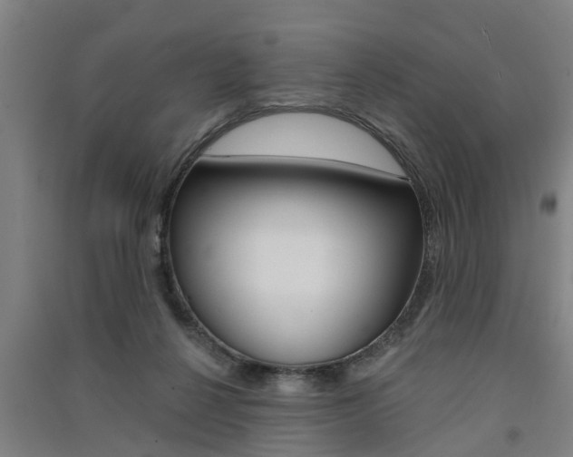 X0000091510264200708170955
