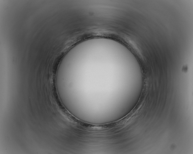 X0000091510265200708170955