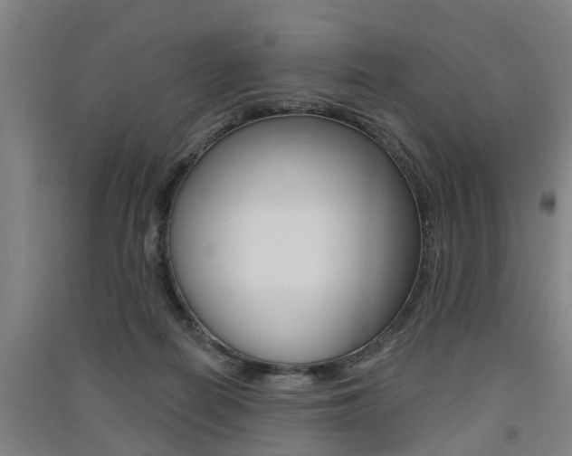 X0000091510266200708170955