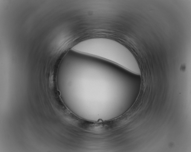 X0000091510267200708170955