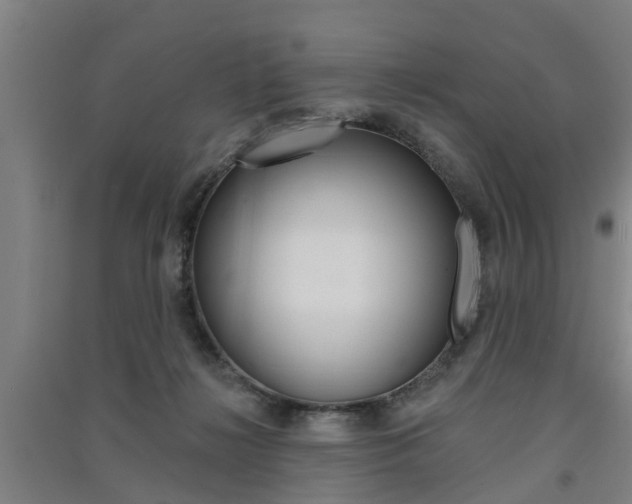 X0000091510268200708170955