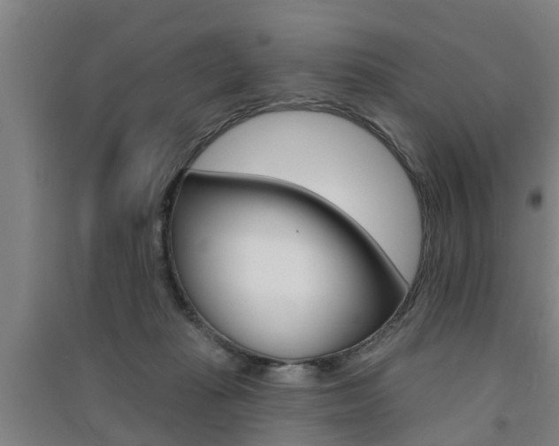 X0000091510269200708170955
