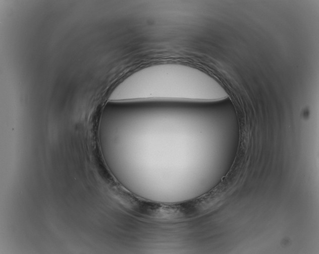 X0000091510270200708170955
