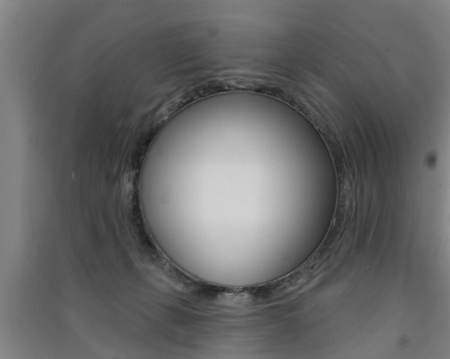 X0000091510271200708170955