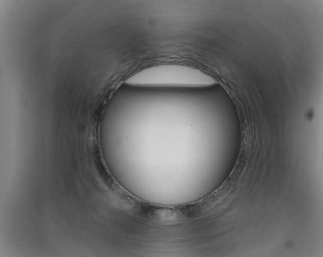 X0000091510272200708170955