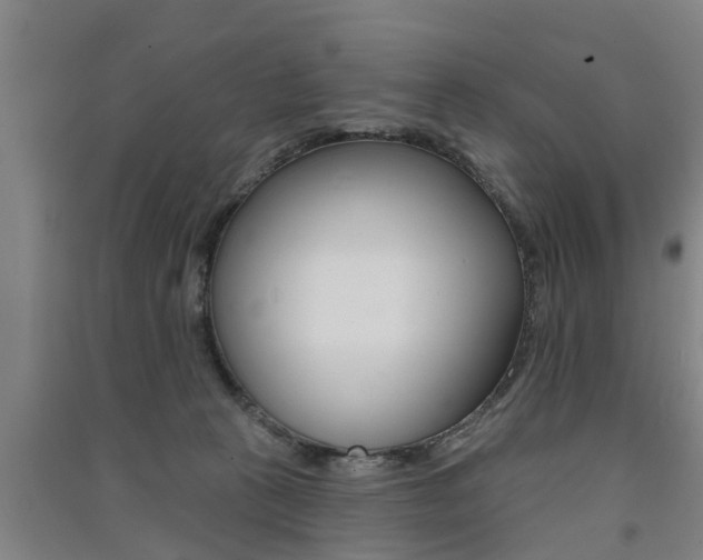 X0000091510273200708170955