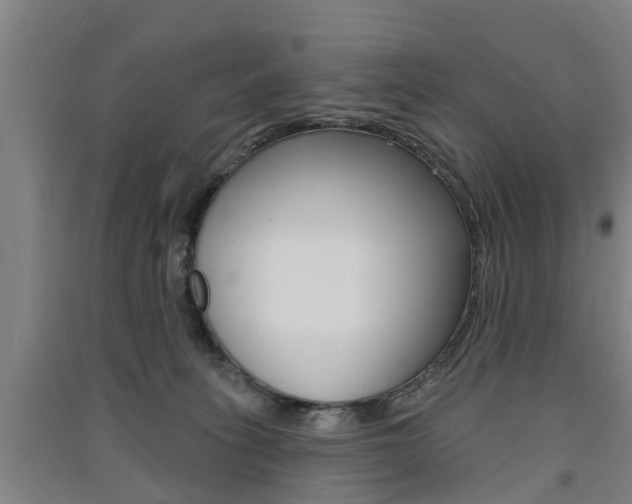 X0000091510275200708170955