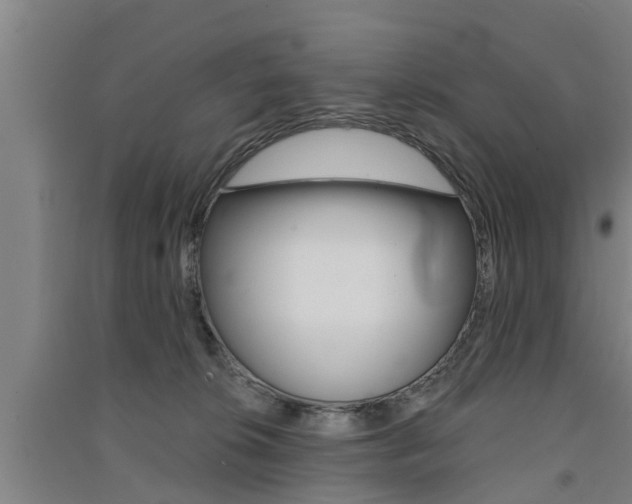 X0000091510276200708170955
