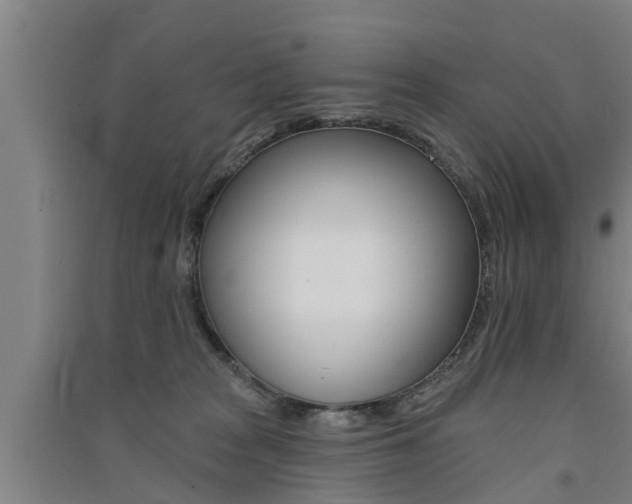 X0000091510277200708170955