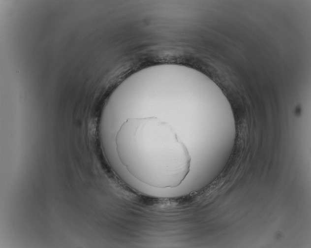 X0000091510278200708170955