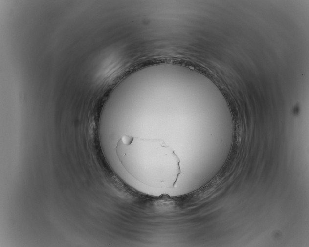 X0000091510279200708170955