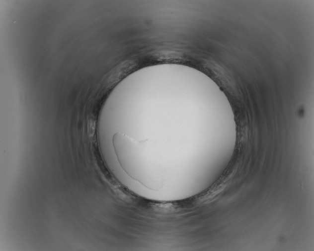 X0000091510281200708170955