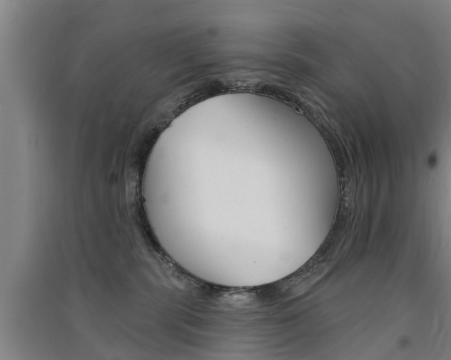 X0000091510283200708170955