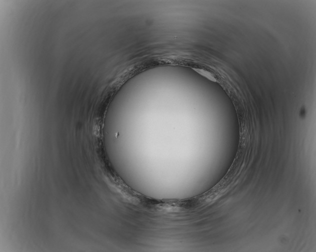 X0000091510284200708170955