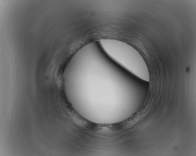 X0000091510285200708170955