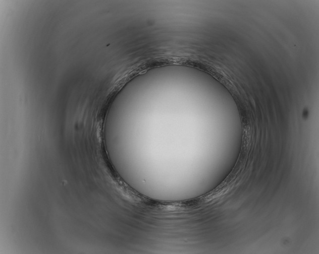 X0000091510286200708170955