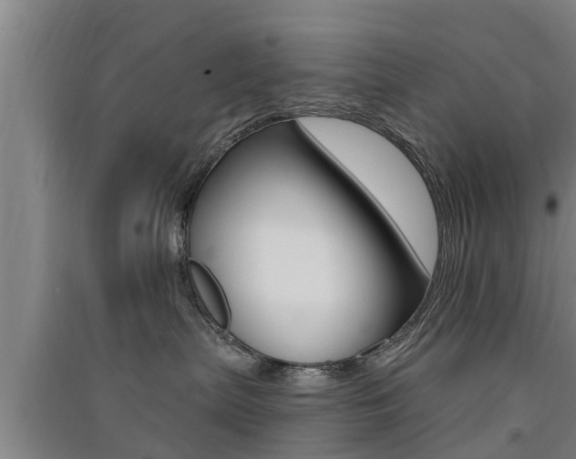 X0000091510287200708170955