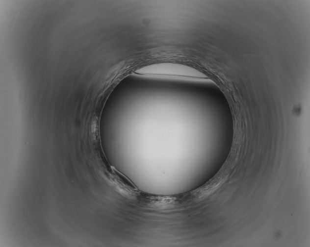 X0000091510288200708170955