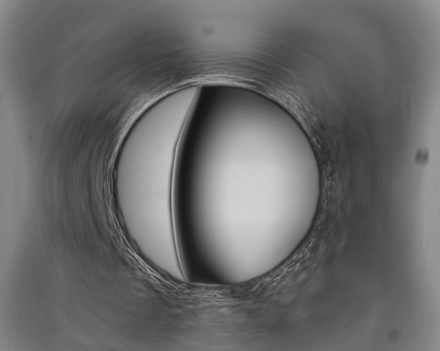 X0000091510289200708170955