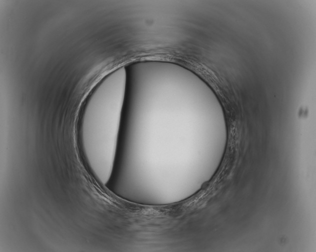 X0000091510290200708170955