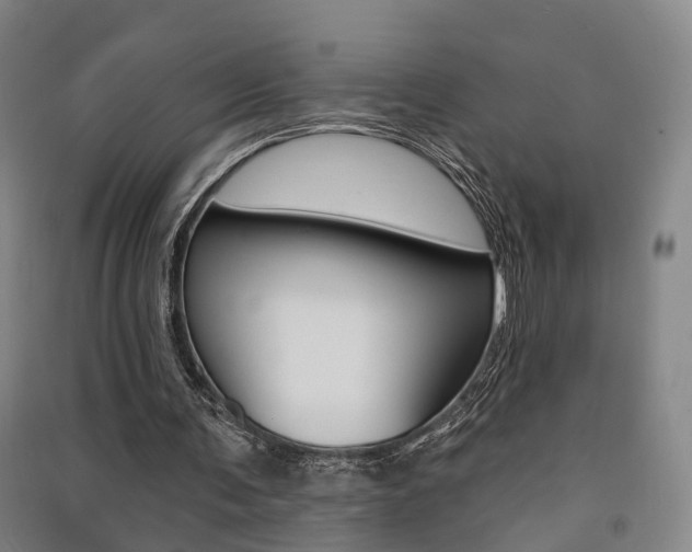 X0000091510291200708170955