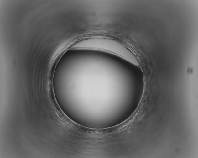 X0000091510293200708170955