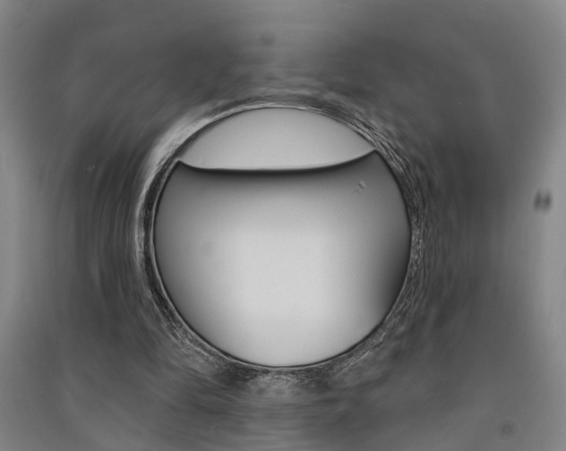 X0000091510294200708170955