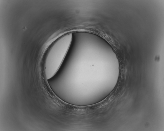 X0000091510295200708170954