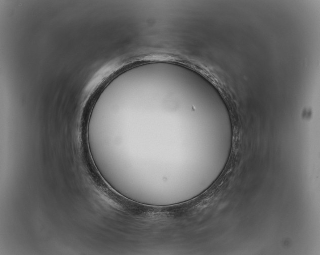 X0000091510296200708170954