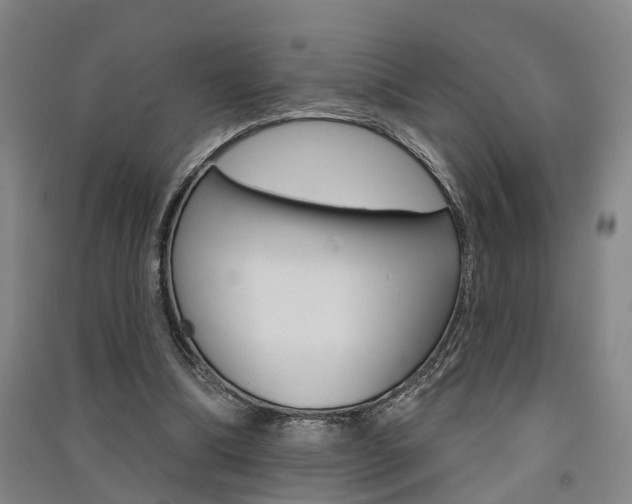 X0000091510298200708170954