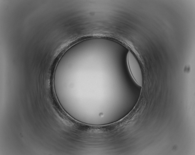 X0000091510299200708170954
