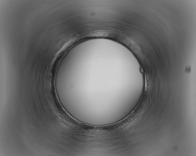 X0000091510300200708170954