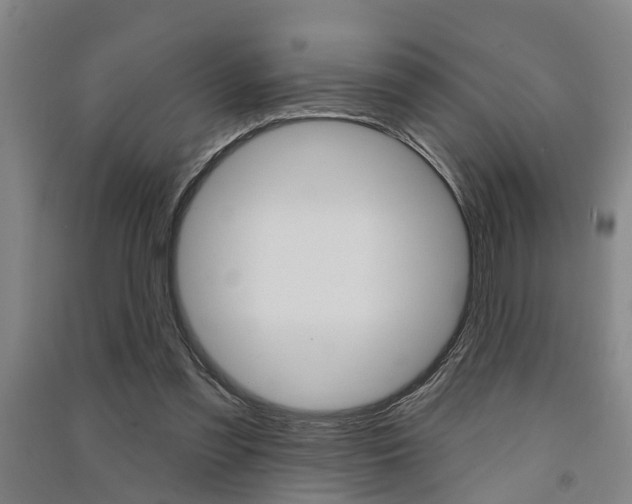 X0000091510301200708170954