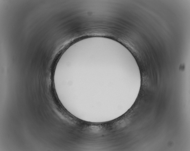 X0000091510302200708170954