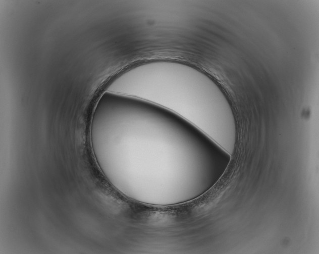 X0000091510303200708170954