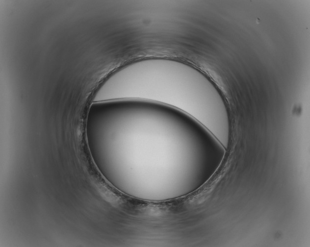 X0000091510305200708170954