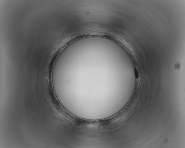 X0000091510306200708170954