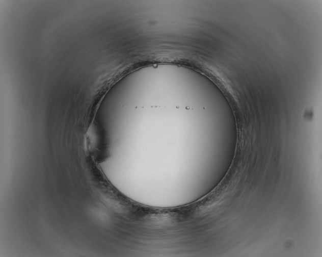X0000091510307200708170954