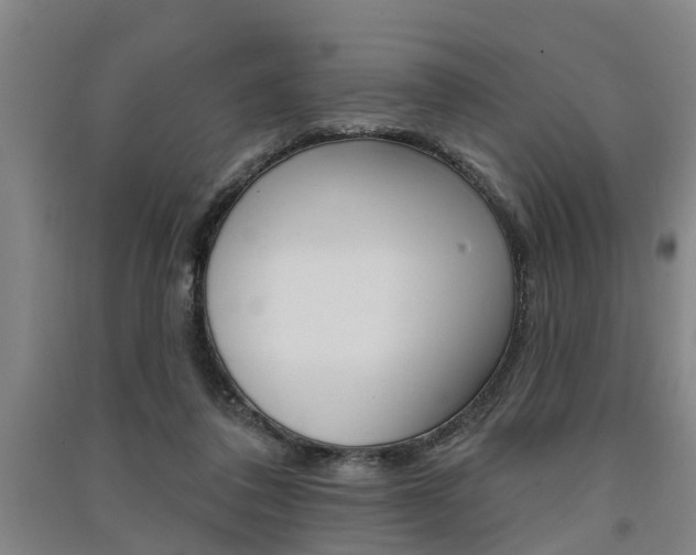 X0000091510308200708170954