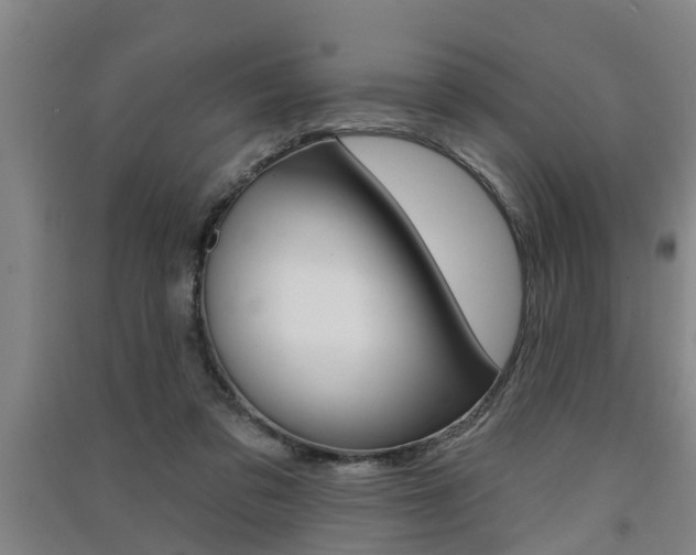 X0000091510309200708170954