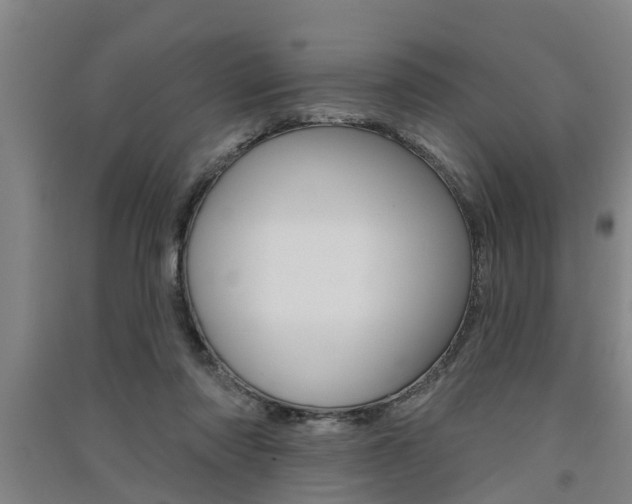 X0000091510310200708170954